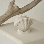 frill shell candle