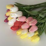 ふんわりチューリップ