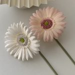 Gerbera flower