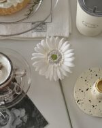 Gerbera flower - 画像 (3)