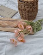 coral poppy flower - 画像 (4)