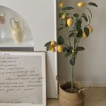 lemon tree