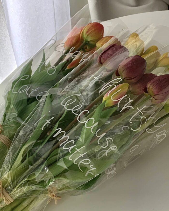 しっとりチューリップ - 画像 (14)