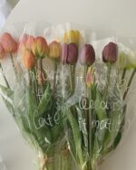 しっとりチューリップ - 画像 (7)