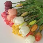 しっとりチューリップ