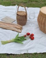 しっとりチューリップ - 画像 (11)