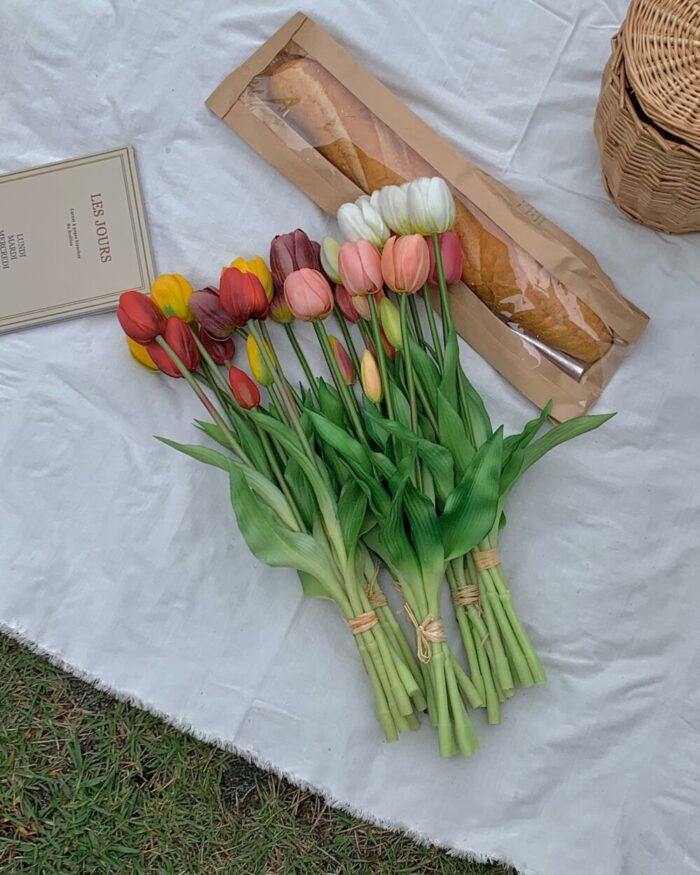 しっとりチューリップ - 画像 (3)