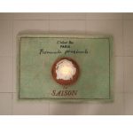 Morning Walk Door Mat