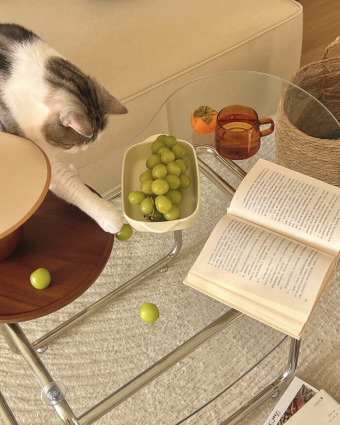 Screenshot peanuts glass table - 画像 (5)