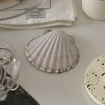 vintage shell tray