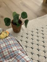 black tie long rug - 画像 (8)