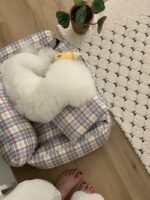 black tie long rug - 画像 (7)