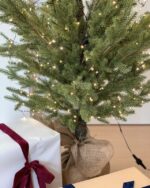 latulipe winter wonder land tree - 画像 (12)