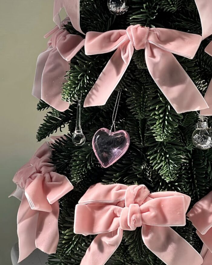 Ribbon Tree - 画像 (11)