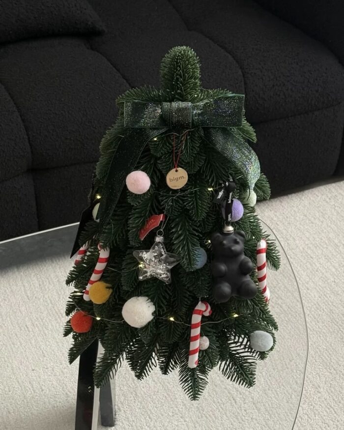 IMG_3913 Bonbon Tree - 画像 (8)