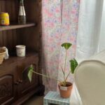 flower roungh curtain