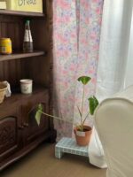 flower roungh curtain