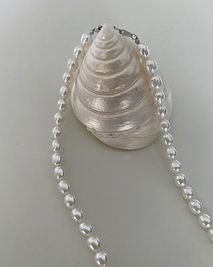 IMG_2193 shell ring stand - 画像 (4)