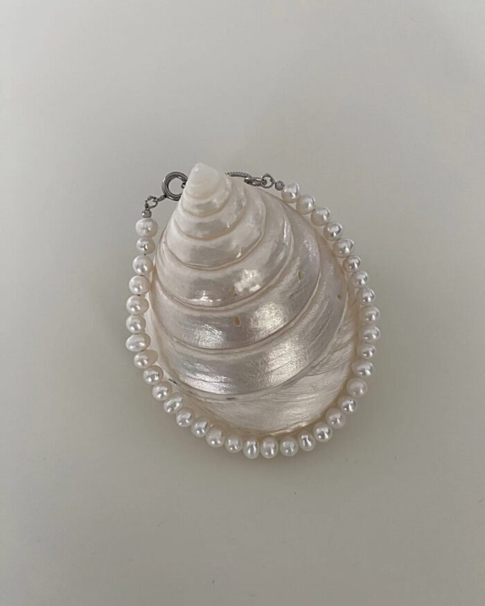 Screenshot shell ring stand - 画像 (3)