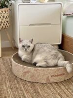 floral cat scratcher - 画像 (3)