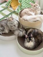 cocoon cat scratcher - 画像 (8)