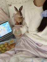 fairy jelly blanket - 画像 (8)