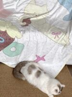 doodle carry blanket - 画像 (9)