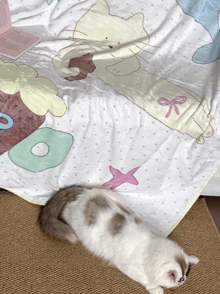 Screenshot doodle carry blanket - 画像 (9)