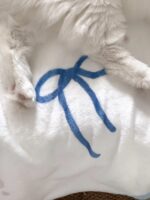 shell carry blanket - 画像 (13)