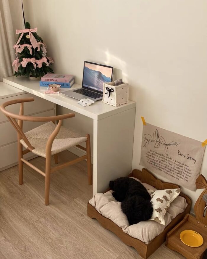 Ribbon Tree - 画像 (9)