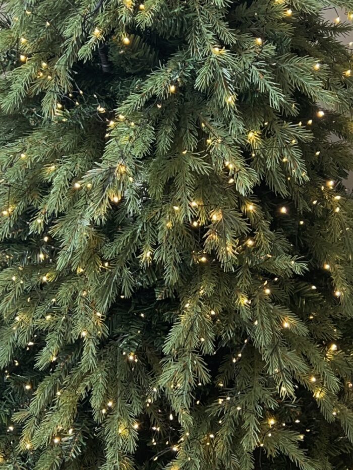 IMG_2031 LED christmas tree light - 画像 (4)