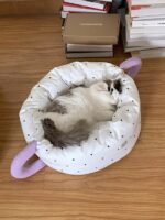 marshmallow mug pet bed - 画像 (6)