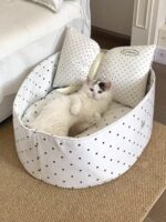 candy white dot pet bed - 画像 (4)