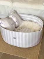candy blueberry pet bed