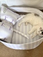 candy blueberry pet bed - 画像 (4)