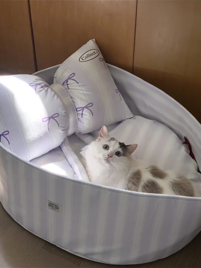 candy blueberry pet bed - 画像 (6)