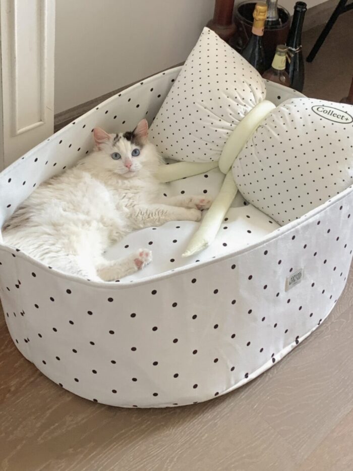 candy white dot pet bed - 画像 (2)