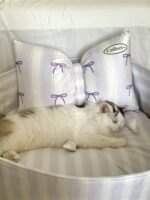 candy blueberry pet bed - 画像 (5)