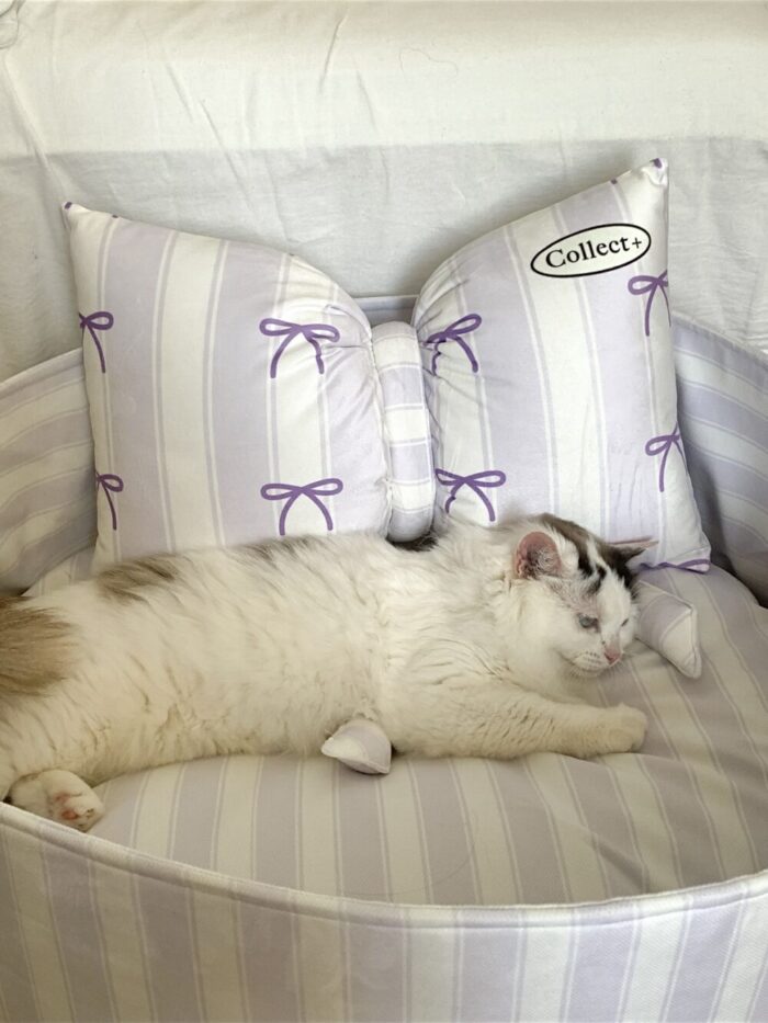 candy blueberry pet bed - 画像 (5)