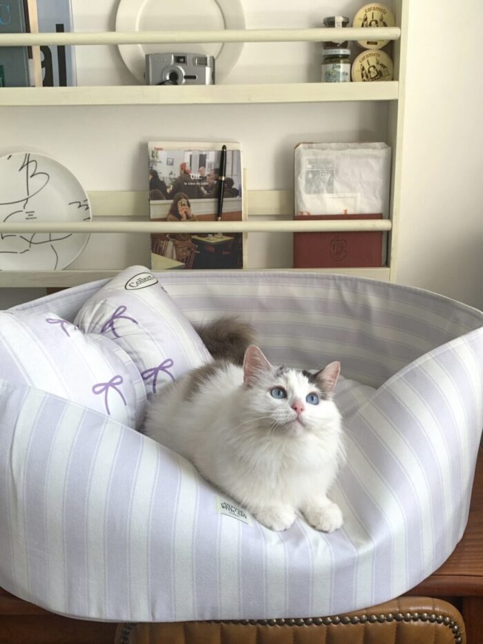 candy blueberry pet bed - 画像 (2)