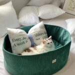 candy olive pet bed