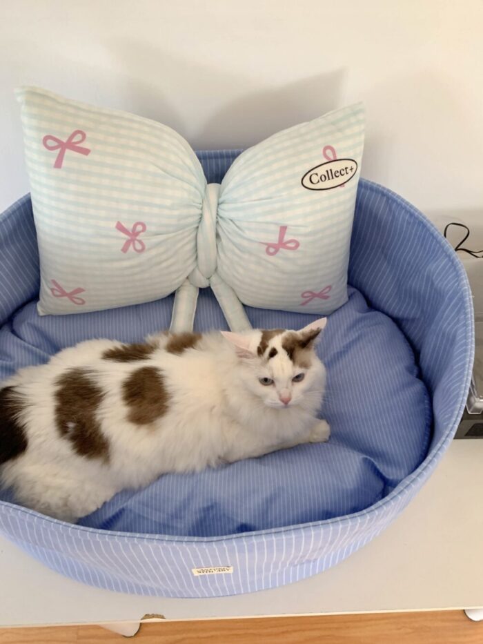 candy baby blue pet bed - 画像 (6)