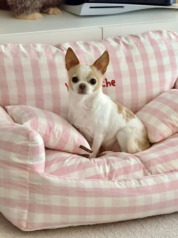peach check pet bed - 画像 (2)