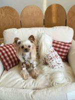 french hug pet bed - 画像 (7)