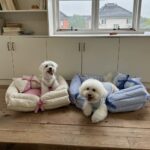 stripe ribbon pet bed