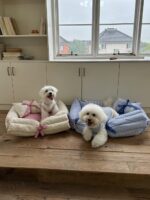 stripe ribbon pet bed