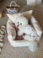 french hug pet bed - 画像 (3)