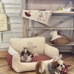 french hug pet bed
