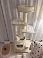 french vanilla cat tower - 画像 (2)