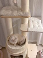 french vanilla cat tower - 画像 (3)
